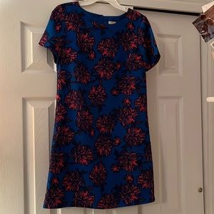 J. Crew dress (worn 1 time)